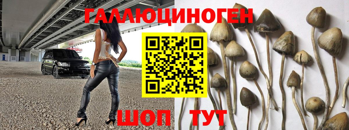 Ирбит  Псилоцибиновые грибы мухоморы  где купить   Вход с VPN 