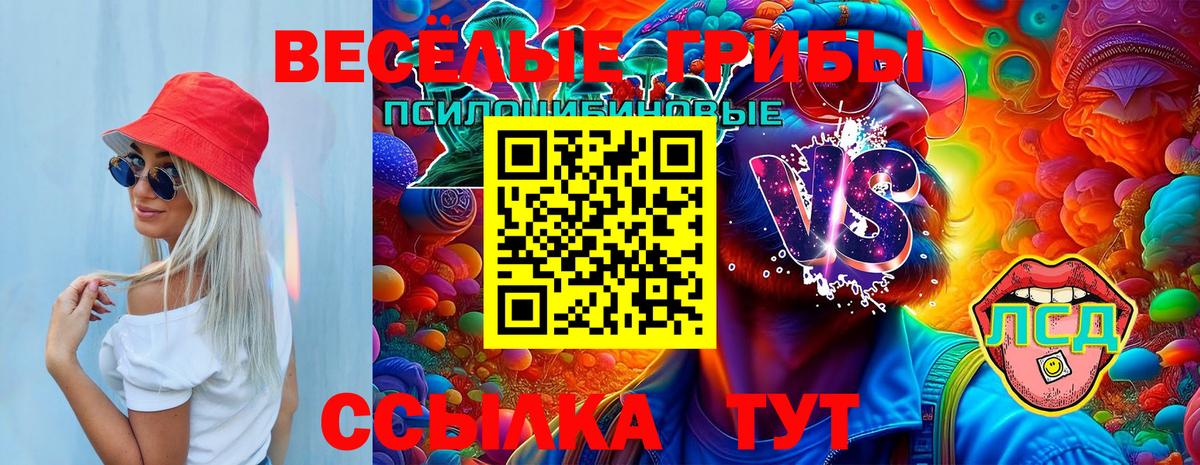 Галлюциногенные грибы GOLDEN TEACHER Ирбит